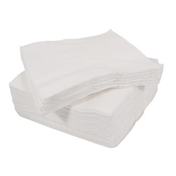TABLEWARE 2 PLY WHITE NAPKIN PK100